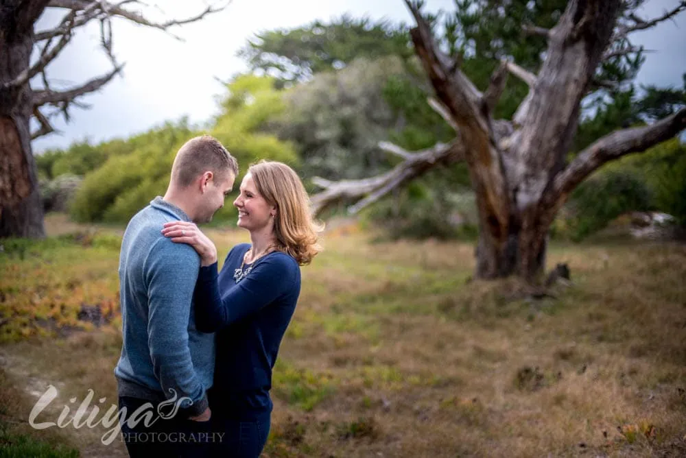 Couple beneath a windswept tree