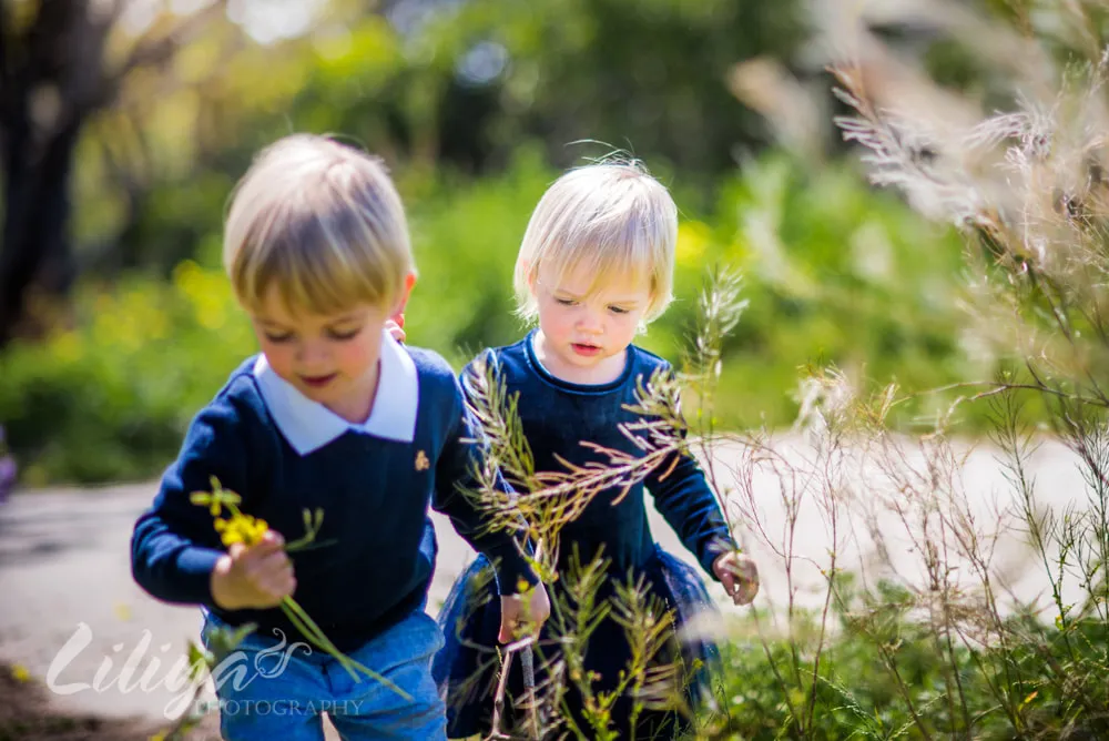 Towle Family Portraits, Wilderness Park, Redondo Beach, CA
