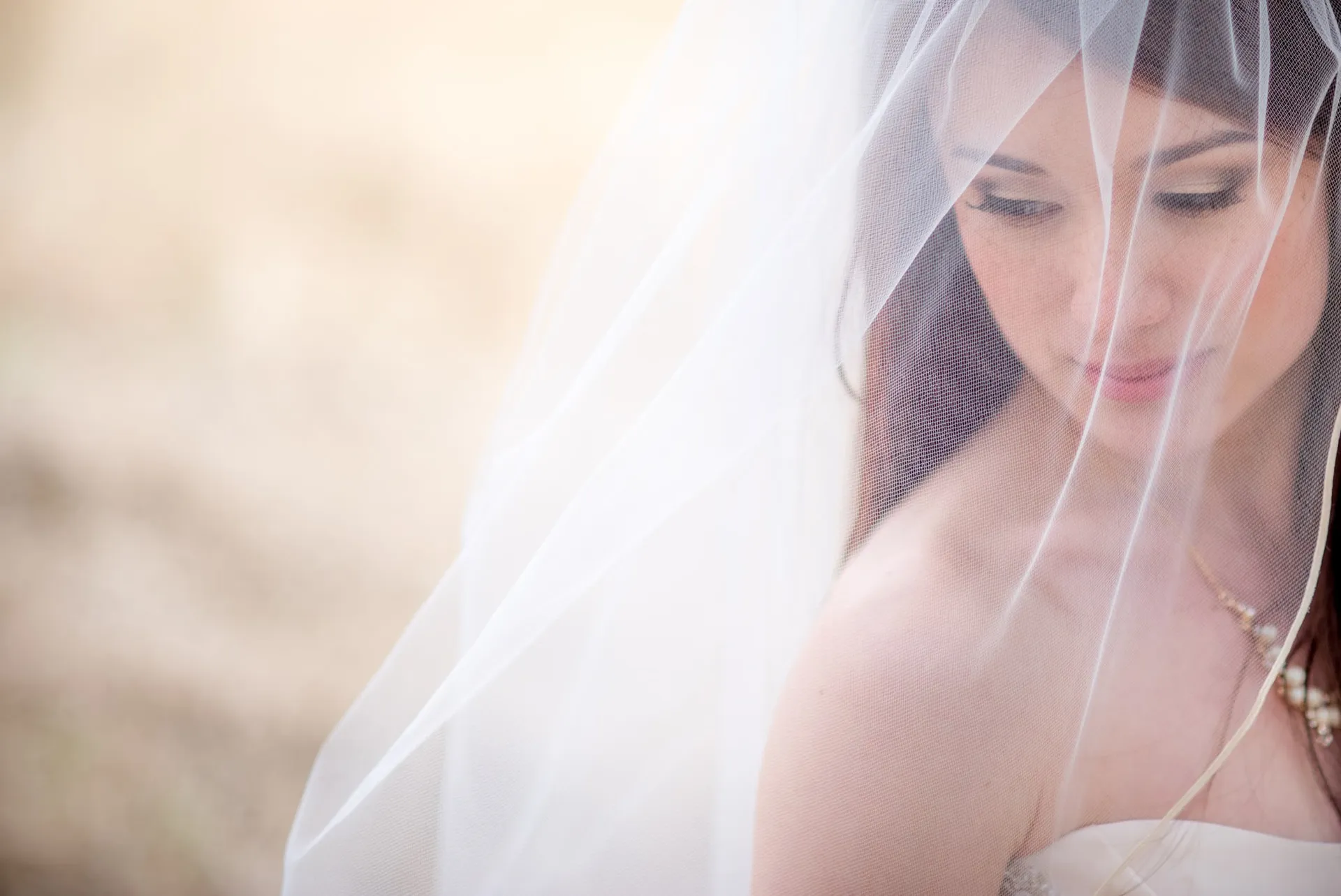 Bride beneath her veil, close up