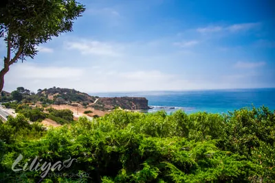 Wayfarers Chapel Wedding, Palos Verdes, Gerber Wedding